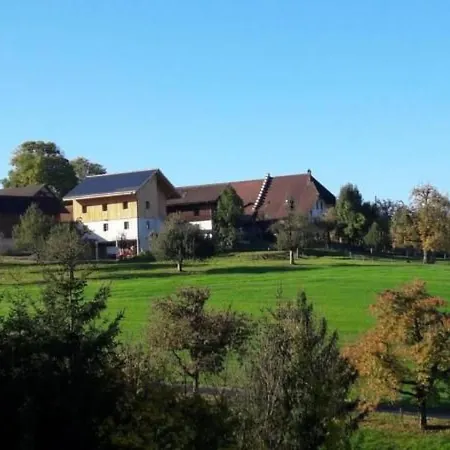 Baettwil By Interhome Appartement