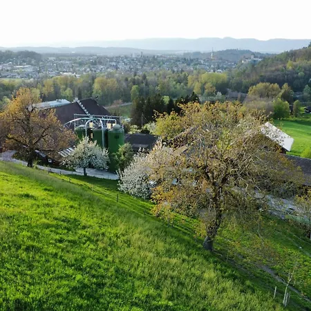 Baettwil By Interhome Appartement