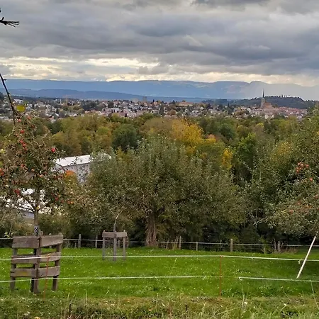 Appartement Baettwil By Interhome