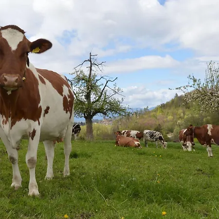 Baettwil By Interhome Apartment Burgdorf