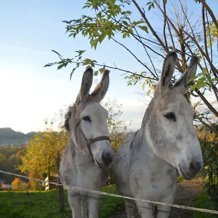 Baettwil By Interhome * Burgdorf