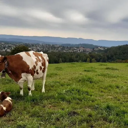 Apartment Baettwil By Interhome Burgdorf