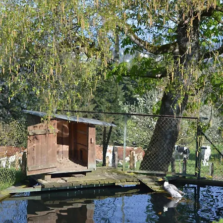 Baettwil By Interhome Apartment Burgdorf