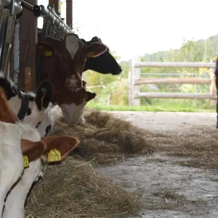 Baettwil By Interhome *