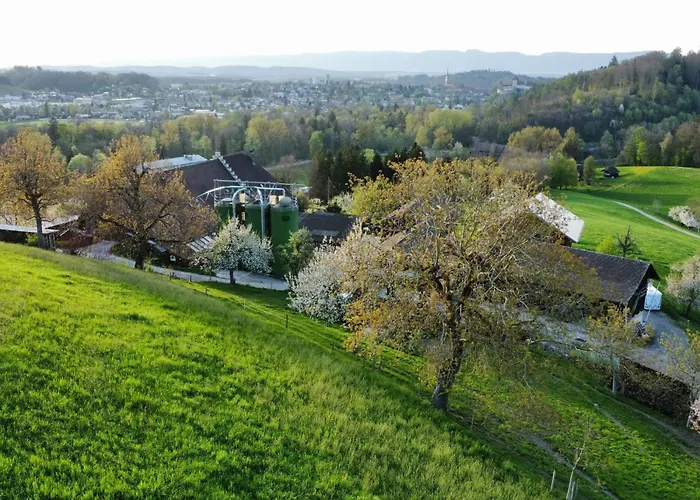 Baettwil By Interhome Appartement