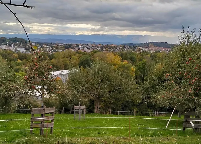 Appartement Baettwil By Interhome