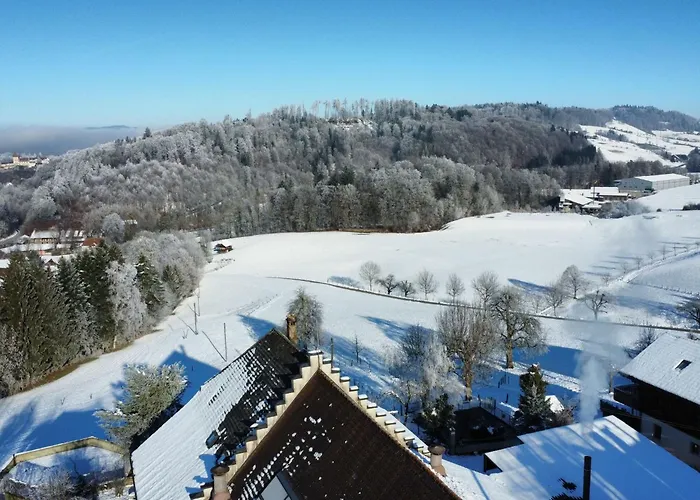 Baettwil By Interhome Appartement Burgdorf