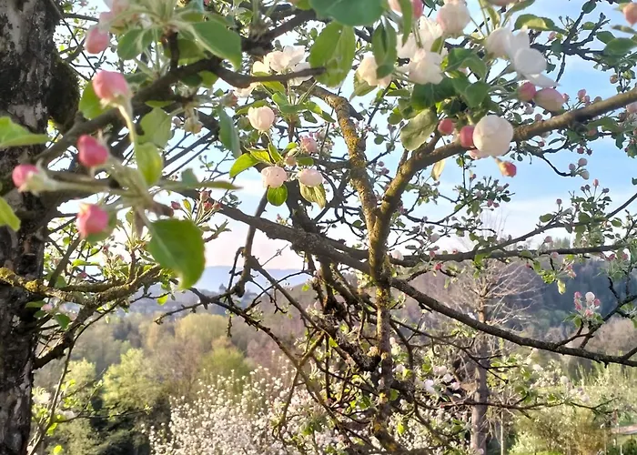 公寓 Baettwil By Interhome *