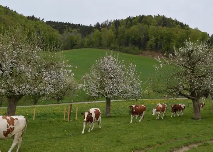 公寓 Baettwil By Interhome 布格多夫