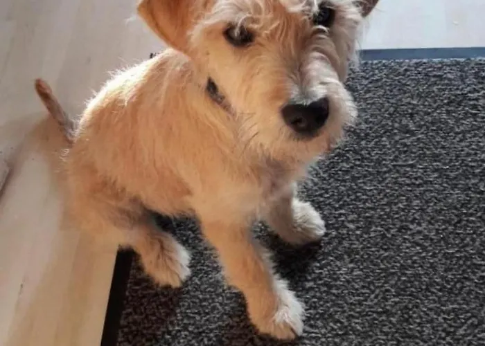 Baettwil By Interhome