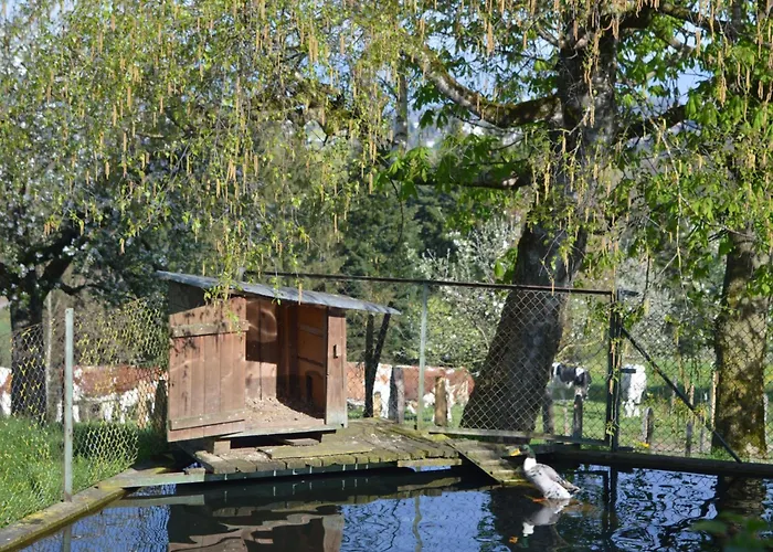 Baettwil By Interhome 公寓 布格多夫