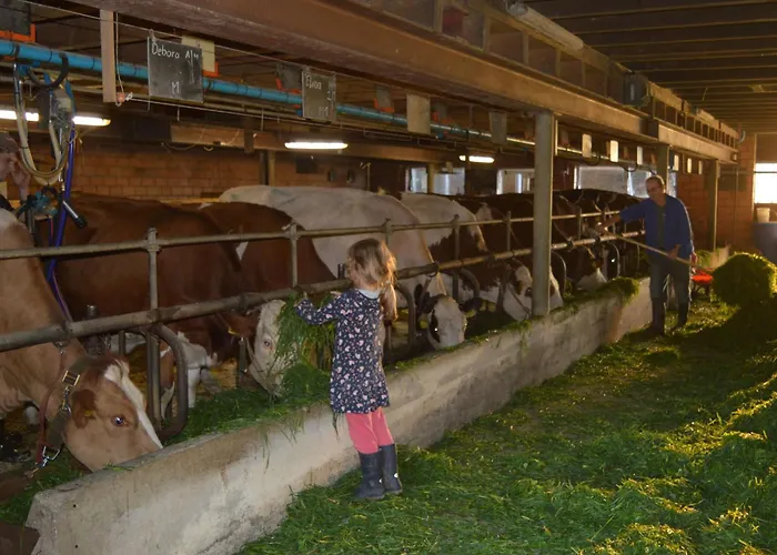 公寓 Baettwil By Interhome 布格多夫