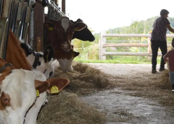 Baettwil By Interhome *